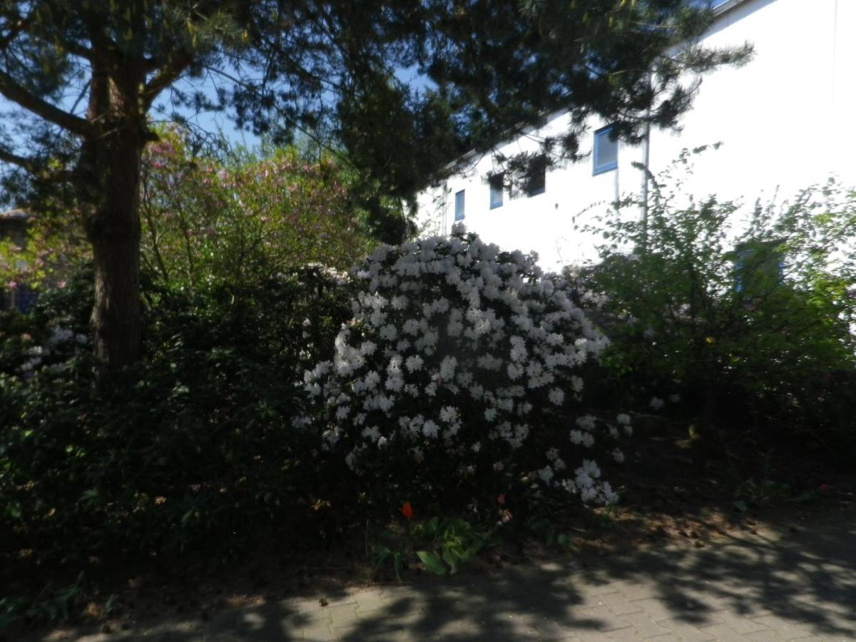 Alte Malztenne im Herzen der Schorfheide Golzow  Exterior foto